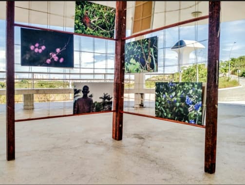 Parque da Cidade cria novo espaço de exposição nos Pontos de Descanso das trilhas