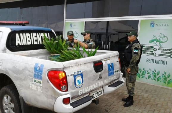 FOTO: Guardas municipais recuperam orquídeas extraídas ilegalmente do Parque da Cidade