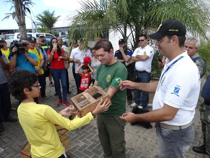 FOTOS: Aves resgatadas em cativeiros e comércio ilegal de Natal são devolvidas à natureza