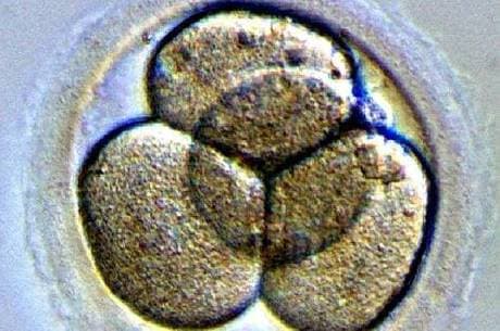 Cientistas chineses anunciam criação de embriões humanos imunes ao HIV