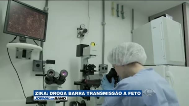 EUA descobrem remédio capaz de impedir que o Zika afete bebês em gestação