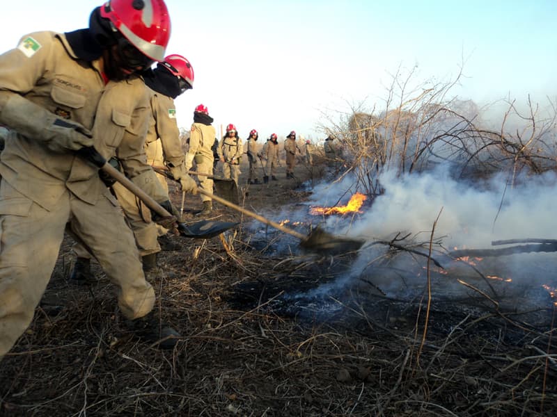 Corpo de Bombeiros alerta população a evitar incêndios em áreas de matas; Grande Natal tem sofrido
