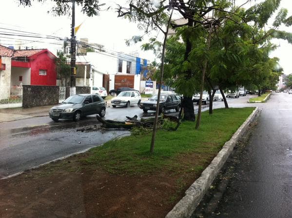 FOTO(PERIGO): Pedaço de árvore cai na Hermes da Fonseca e deixa trânsito lento