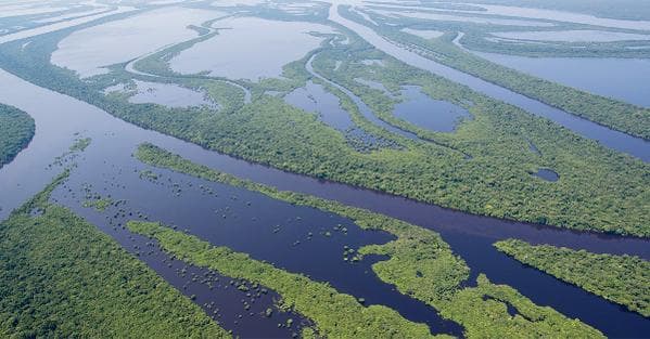 "FOTOS" - MAPA: Cientista projeta o fim da Amazônia para o ano de 2260