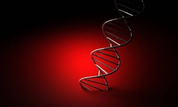 Alterações no DNA podem determinar homossexualidade