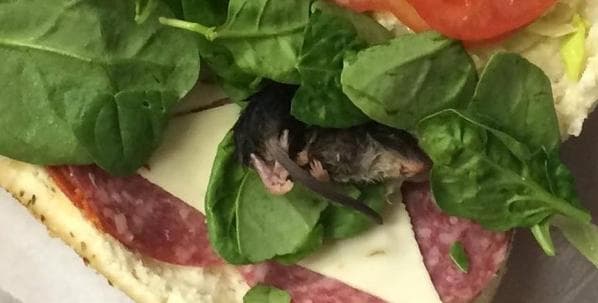 FOTO: Cliente encontra rato em sanduíche do Subway