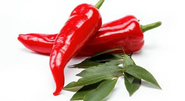 Quem come pimenta vive mais, é menos acometido por câncer e emagrece mais facilmente; conheça benefícios