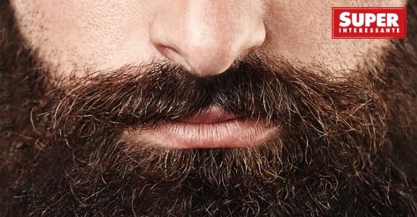 Antibiótico pode ser fabricado a partir de barba