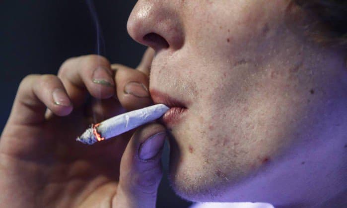 Comércio formal de maconha poderia movimentar R$ 5,7 bilhões