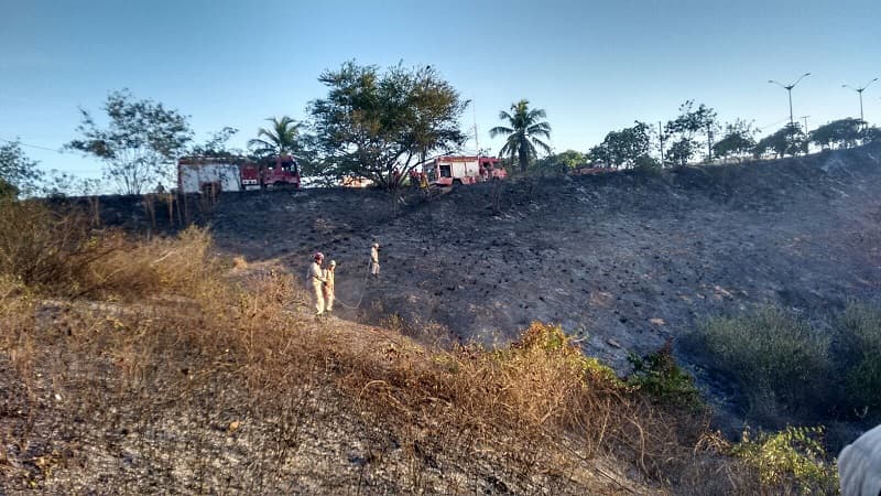 Corpo de Bombeiros já atendeu mais de 500 ocorrências de incêndios florestais em 2016