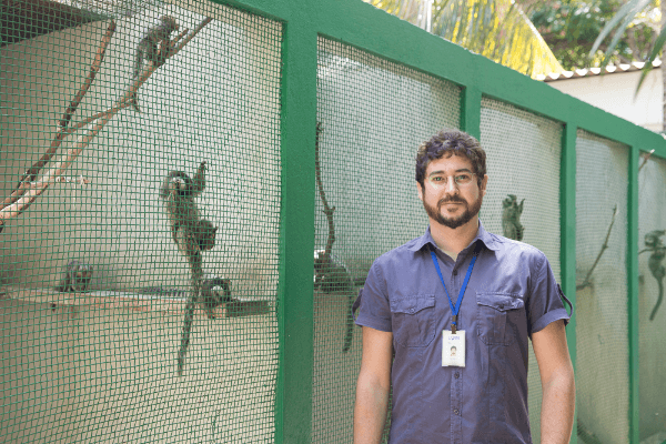 Laboratório da UFRN estuda evolução da visão de cores em primatas