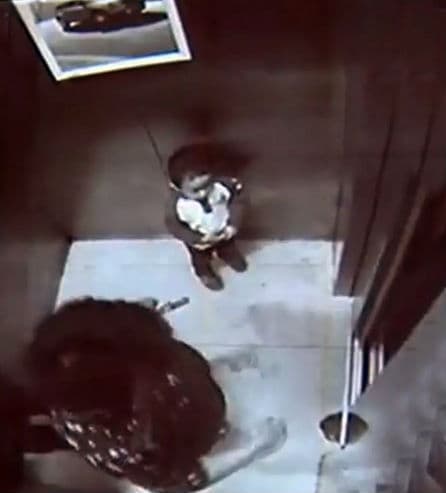 FOTO: Mãe morre ao ser empurrada por filho de 2 anos em fosso de elevador