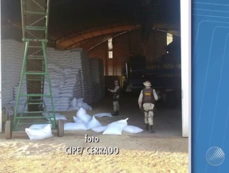 Homens invadem fazenda e roubam mil sacas de feijão no oeste da Bahia