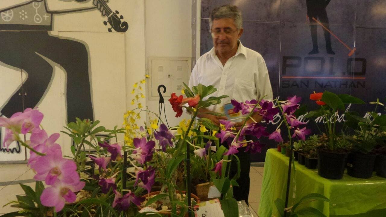 Feira de flores e plantas no Shopping Cidade Jardim