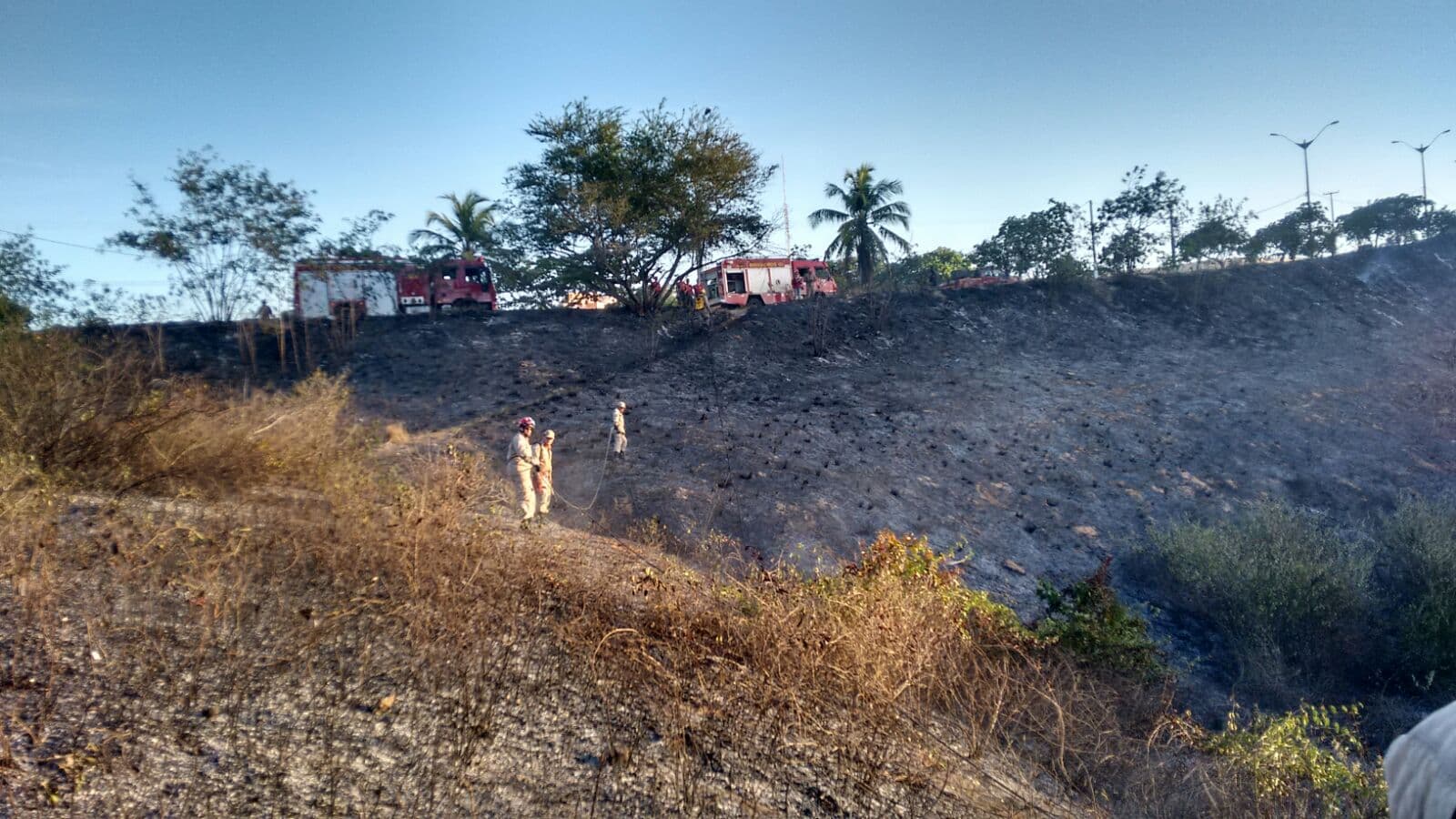 Bombeiros registram 1.796 incêndios e princípios de incêndios em 2015 no RN