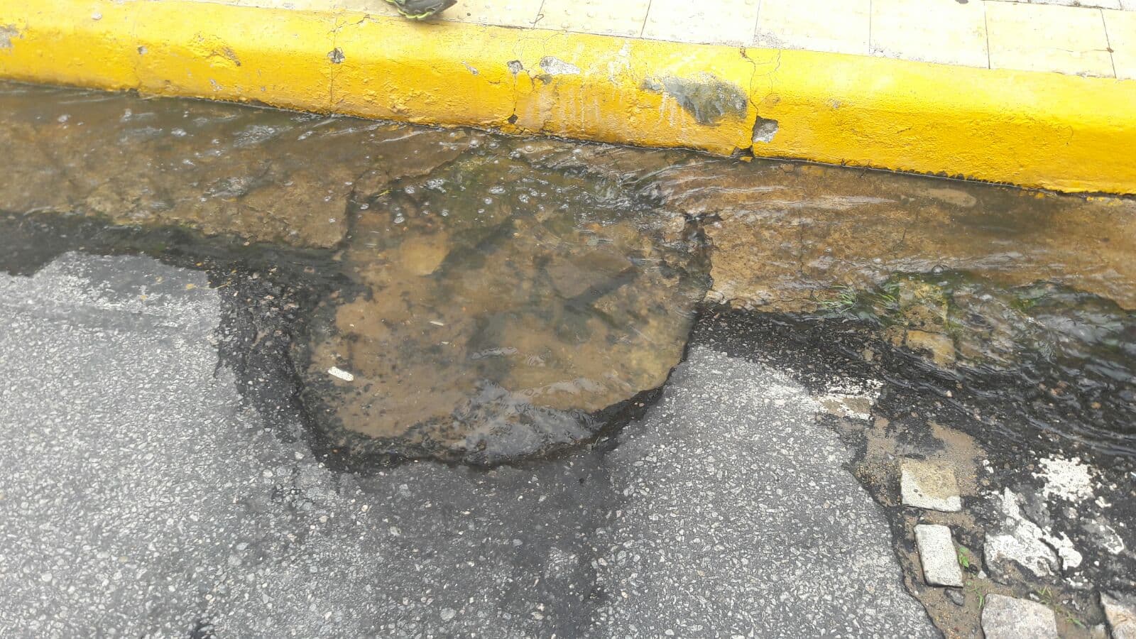 FOTOS E VÍDEO: Denúncia de despejo de esgoto na Avenida Engenheiro Roberto Freire