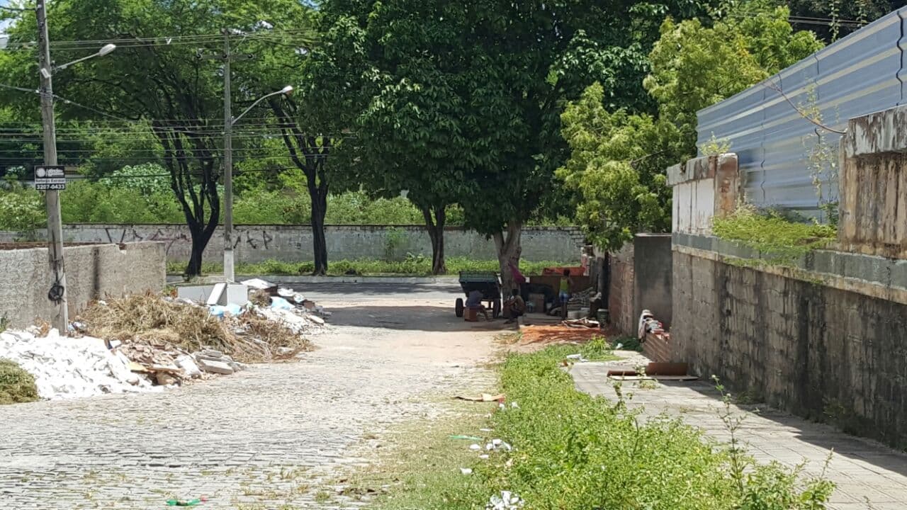 FOTOS: Carroceiros fazem o que querem