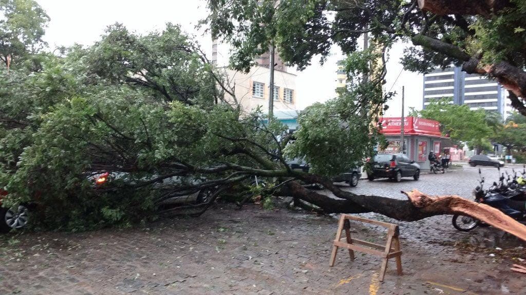 FOTOS - Chuvas em Natal: Árvore despenca em carro na Zona Leste e vias alagadas na Zona Sul