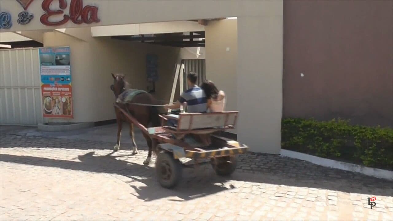 FOTOS: Conheça o casal que chegou ao motel na Grande Natal de charrete, e viralizou na Web
