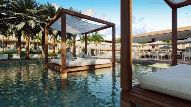 ÎLE DE PIPA: exuberância de seu paisagismo