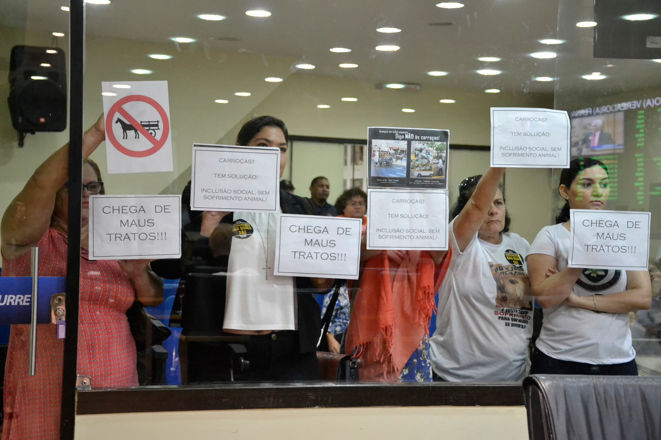 Câmara Municipal de Natal aprova lei que proíbe circulação de veículos de tração animal
