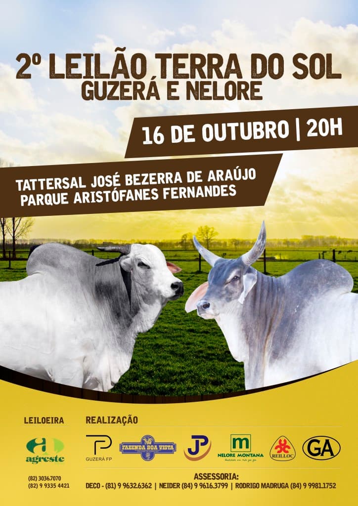 2º Leilão Terra do Sol oferece 35 lotes de Guzerá e Nelore na Festa do Boi