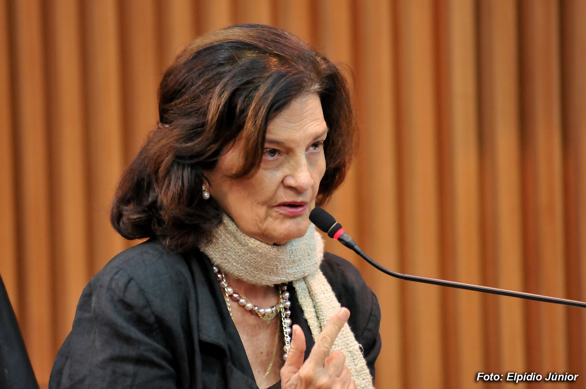 Vereadora Eleika economiza R$ 372 mil em verba de gabinete e indenizatória