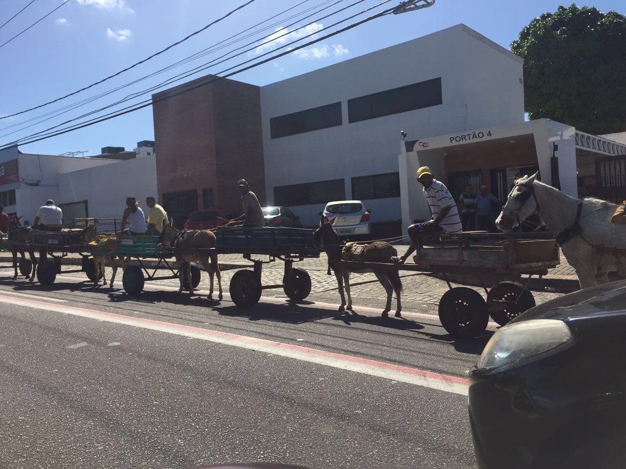 [VÍDEO] Protesto de carroceiros pelas ruas de Natal