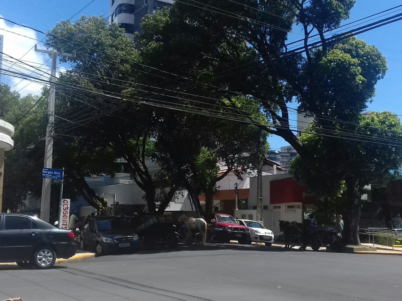 FOTO: Carroceiros bloqueiam trânsito no entorno da Câmara