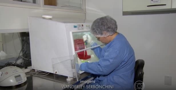 Cientistas brasileiros decifram o DNA completo do vírus da zika