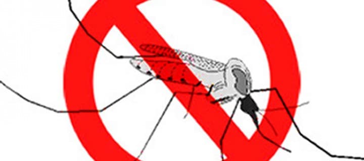 Natal lança Campanha de Combate ao Aedes aegypti nesta sexta-feira