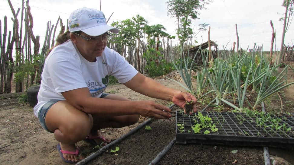 FOTO: Projeto Bioágua promove o reúso de água no sertão do Rio Grande do Norte