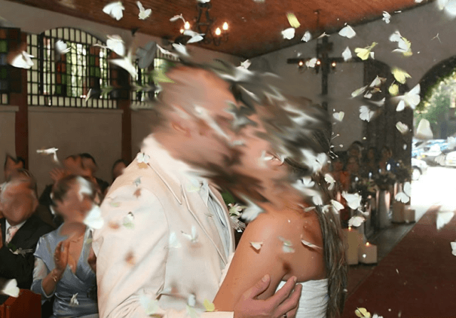 Noivas congelam borboletas para ‘decorar' cerimônia de casamento; "moda" ecologicamente criminosa está acontecendo no Brasil