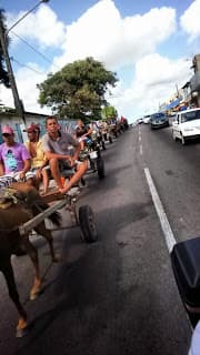 FOTOS: Carroceiros realizaram "carreata" em protesto pelas ruas capital potiguar na manhã desta quinta