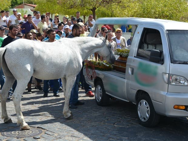 FOTOS E VÍDEO: Cavalo comove família de vaqueiro morto ao ‘se despedir' do dono na PB