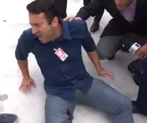 VÍDEO: Cinegrafista da Band é mordido por cão da PM durante protesto no Paraná