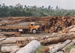 Ipanguaçu: MPRN celebra TAC's com cerâmicas da região para reparação de danos causados ao meio ambiente