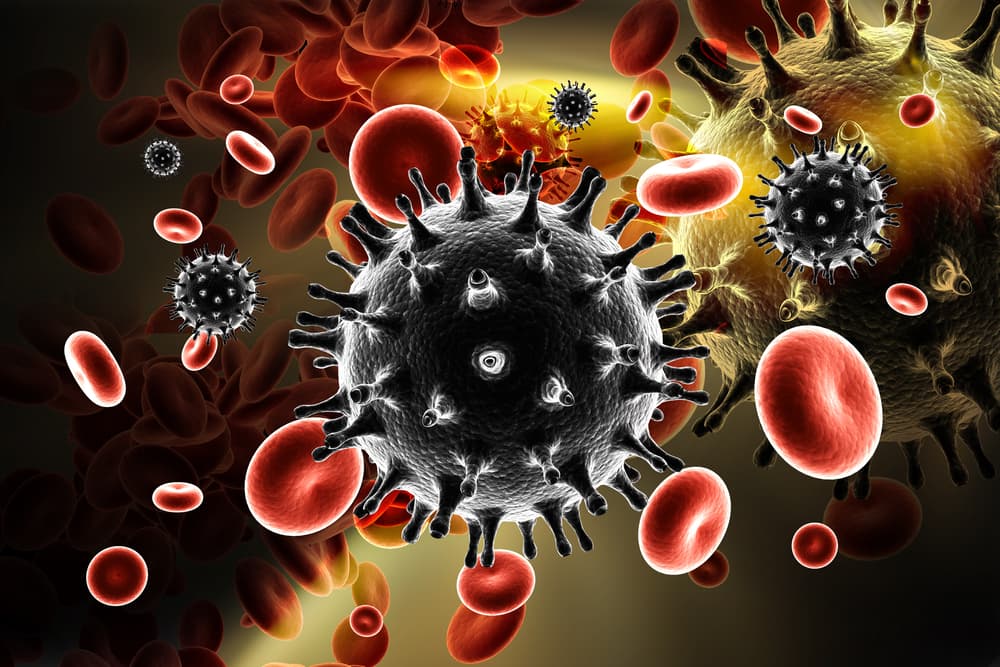 Cientistas descobrem modo de destruir vírus da AIDS