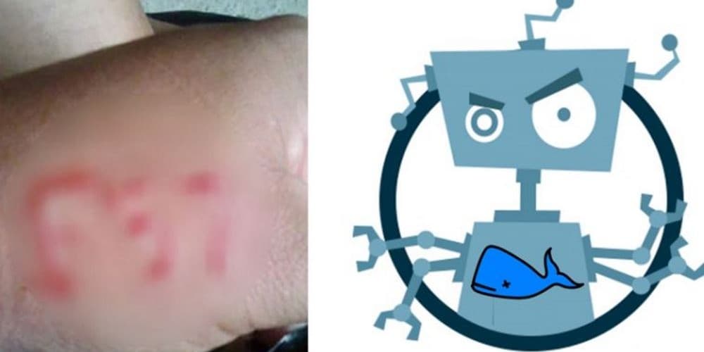 Curadores do jogo Baleia Azul podem ser robôs