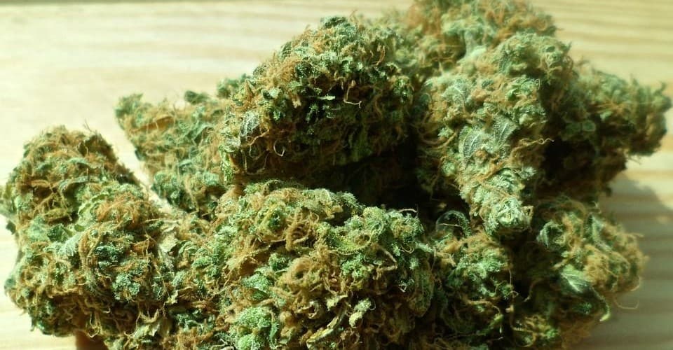 Testes confirmam a presença de maconha em doces vendidos na Av. Paulista em SP