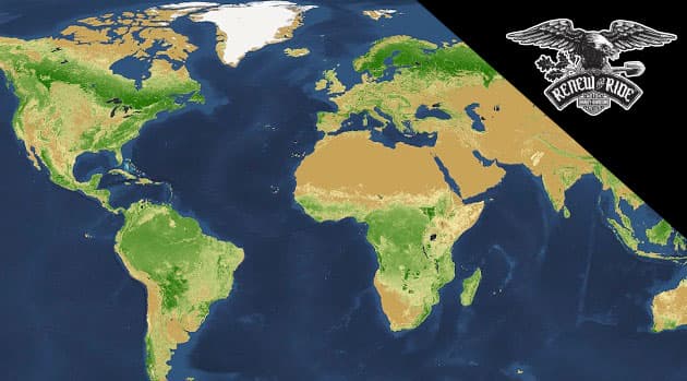 Nossa civilização derrubou quase 50% das árvores do mundo, indica estudo