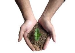 MPRN e MPF definem atuação para licenciamento ambiental e divulgam nota de repúdio