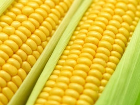 Pesquisa em Natal aponta variação de média de 49% no preço do milho verde; veja também preço combustíveis