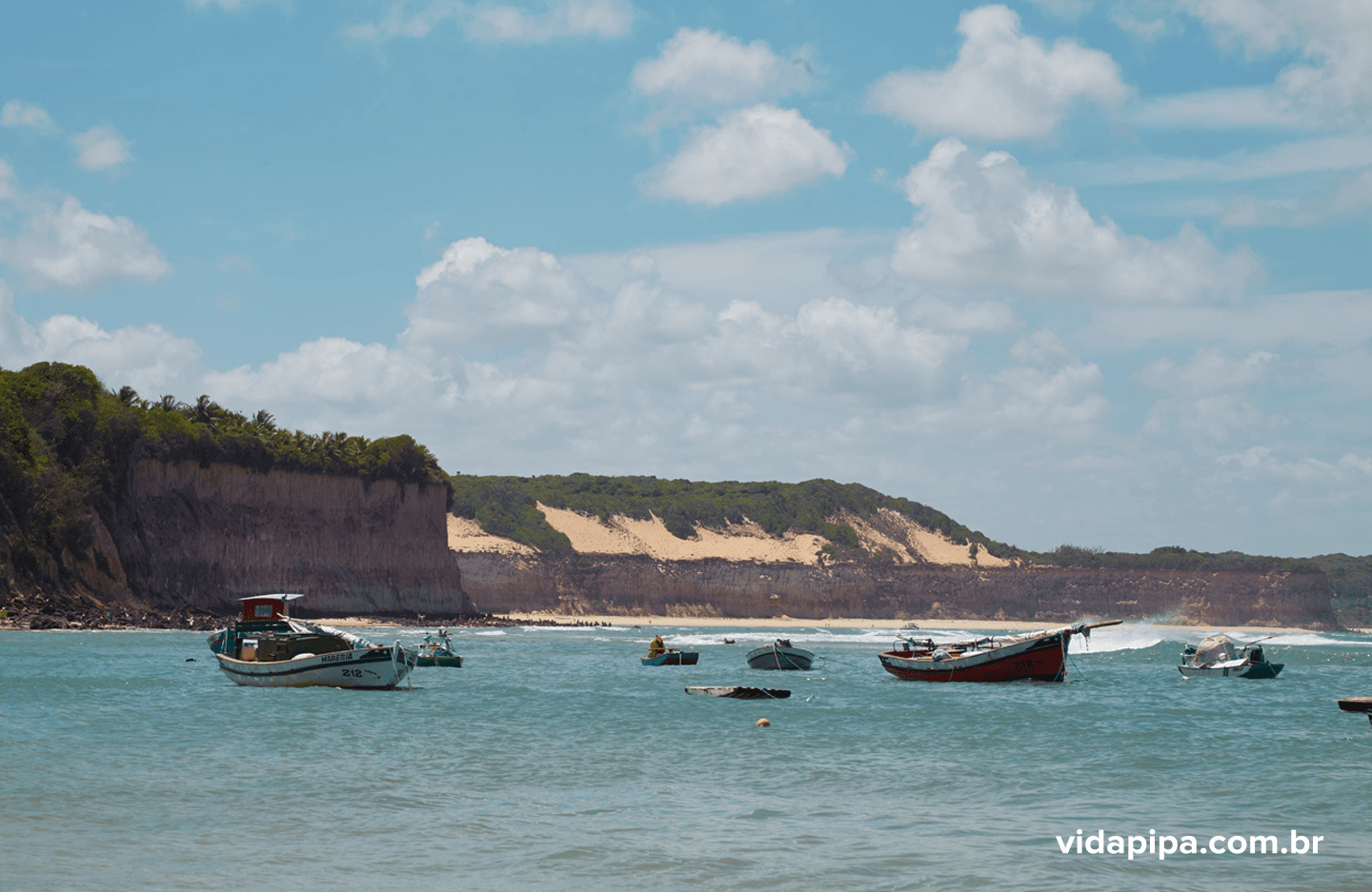 VIDA PIPA: O que você espera da vida? Vamos viver um pouco mais?