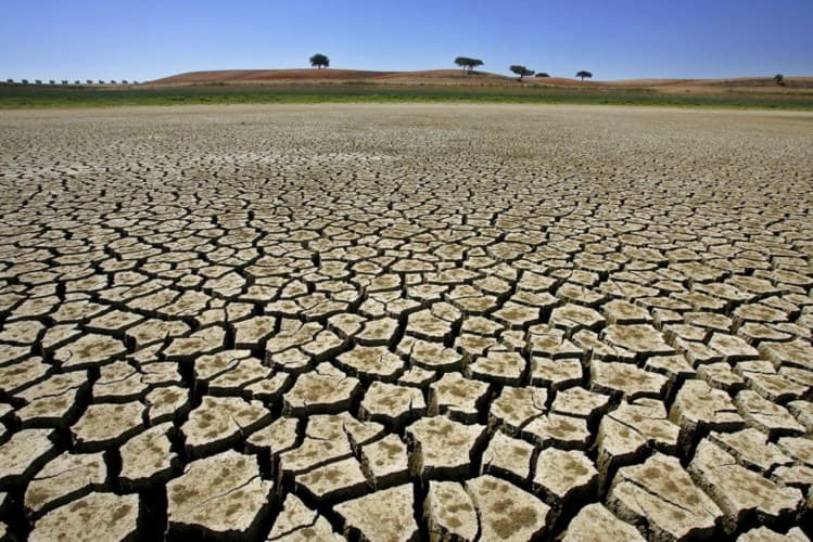 Nordeste terá pior seca dos últimos 100 anos