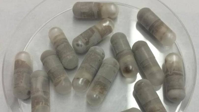 PRONTO! Cheirar cocô é melhor que tomar antibióticos, diz estudo