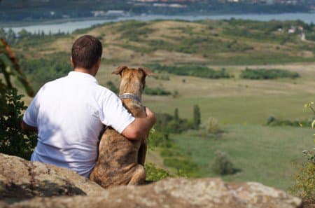 Projeto de vereador pré-candidato à prefeitura de Curitiba prevê dia de folga a funcionário em caso de morte do animal de estimação