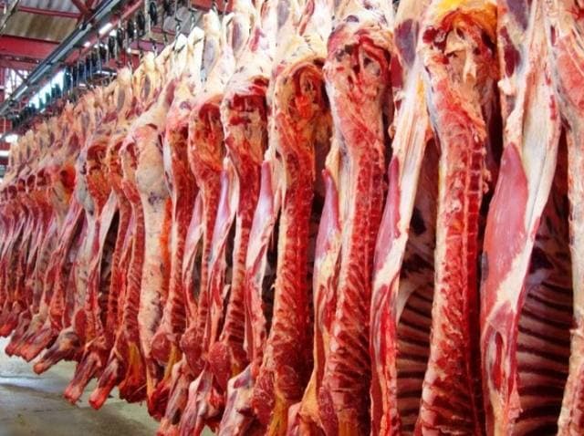 JBS retoma produção de carne bovina