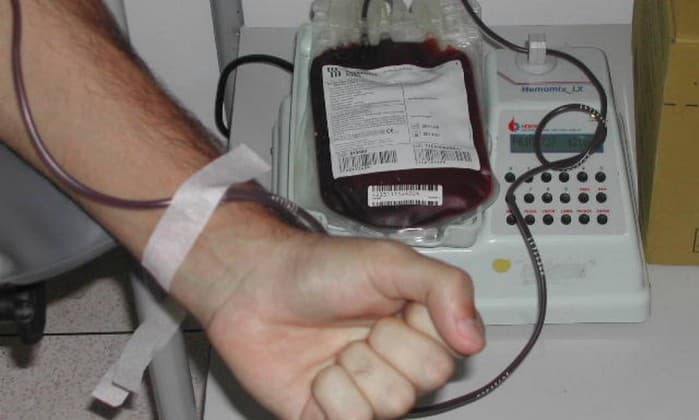 ESTUDO SURPREENDENTE: Idade e sexo de doadores de sangue podem interferir no resultado; até risco em casos