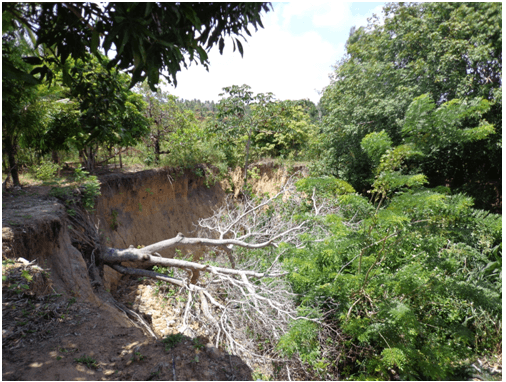 Mantida decisão que condena Município do Natal a realizar drenagem no Planalto; excesso de areia para o Rio Pitimbu também é preocupação